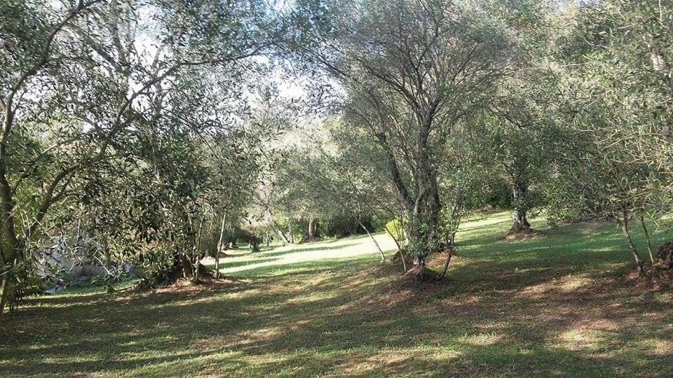 Karamali Green Danilia Villas Gouviá Extérieur photo